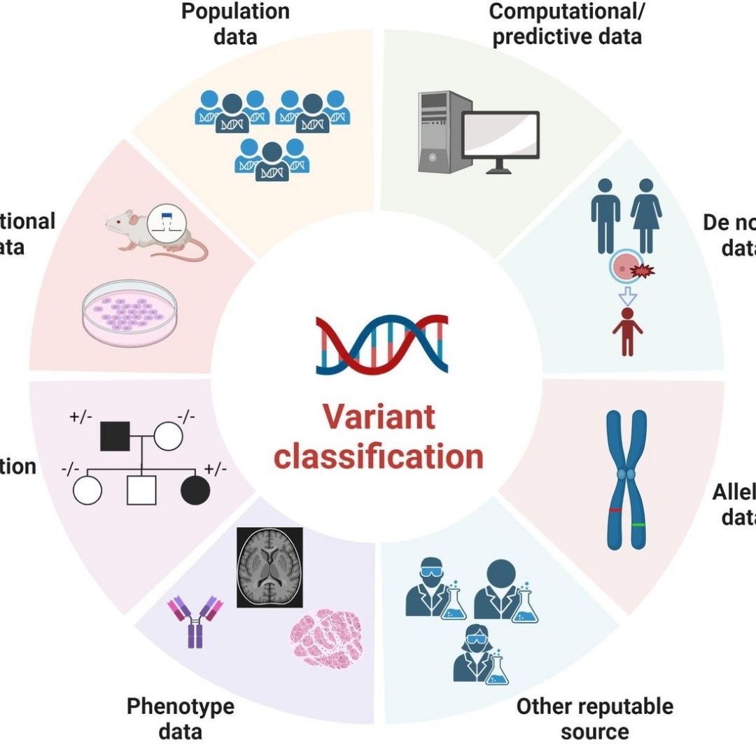 evidence based clinical variant interpretation