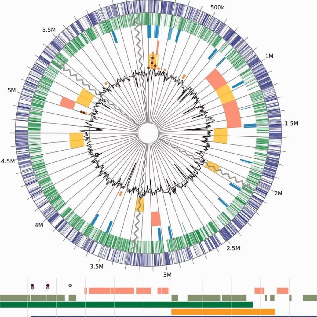 end to end ngs analysis